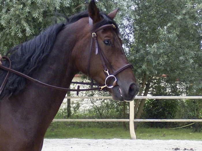 Photo de profil de veronikaa