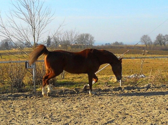 Photo de profil de fiiona