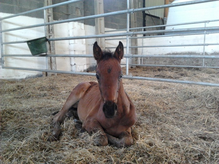 Photo de profil de cococrevette