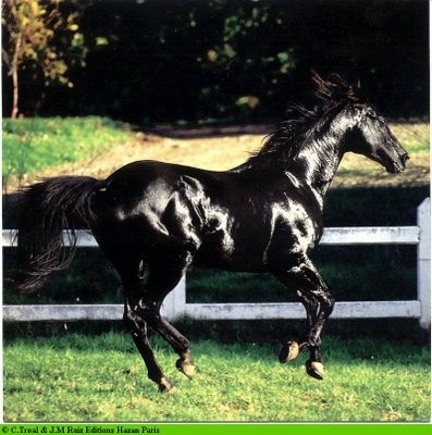 Photo de profil de axellelapail