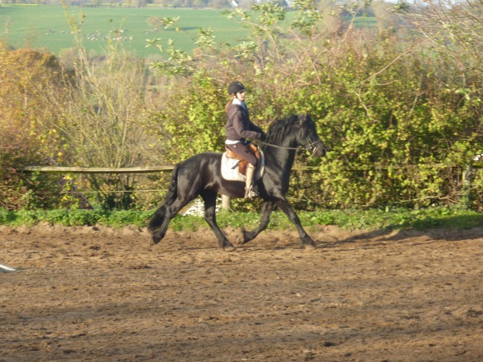 Photo de profil de rebelroyal