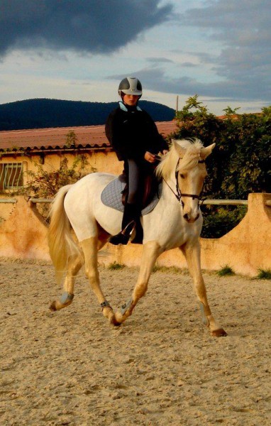 Photo de profil de margawx