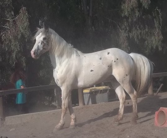 Photo de profil de vicky03dada