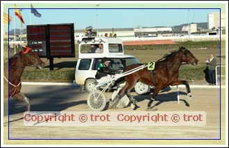 Photo de profil de palomerin