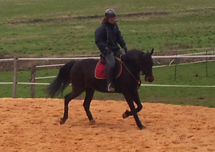 Photo de profil de sandpen