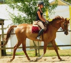 Photo de profil de gallou49
