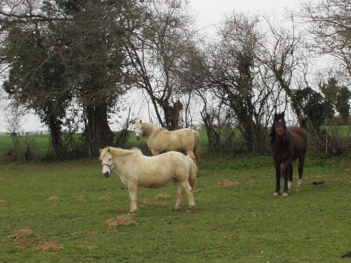 Photo de profil de cadu