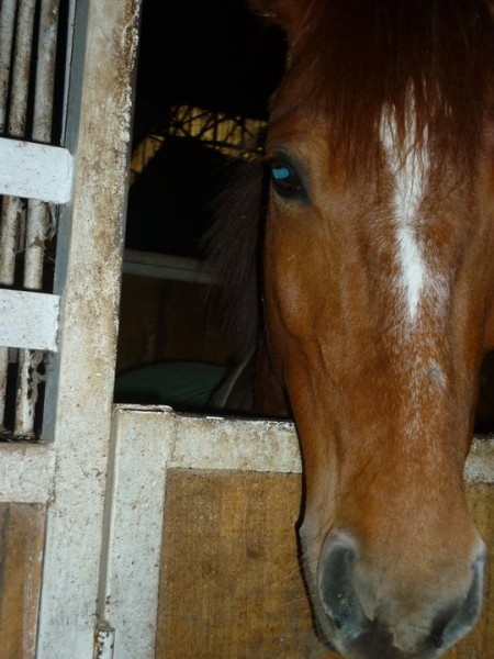 Photo de profil de uranie.31