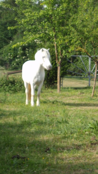 Photo de profil de manonverrier