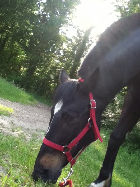 Photo de profil de lollipop51