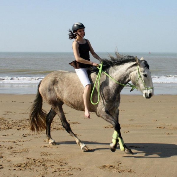 Photo de profil de meljb