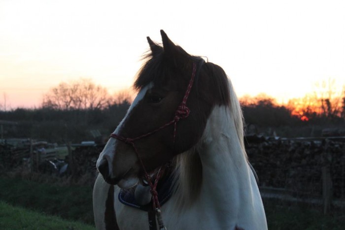 Photo de profil de cheyenne49
