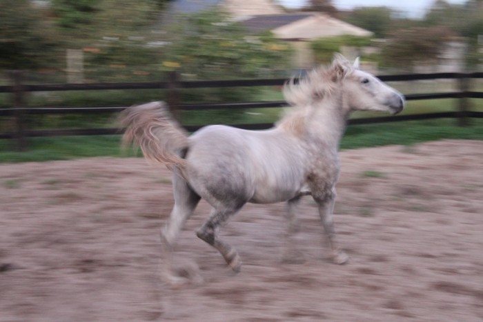 Photo de profil de asdumarais