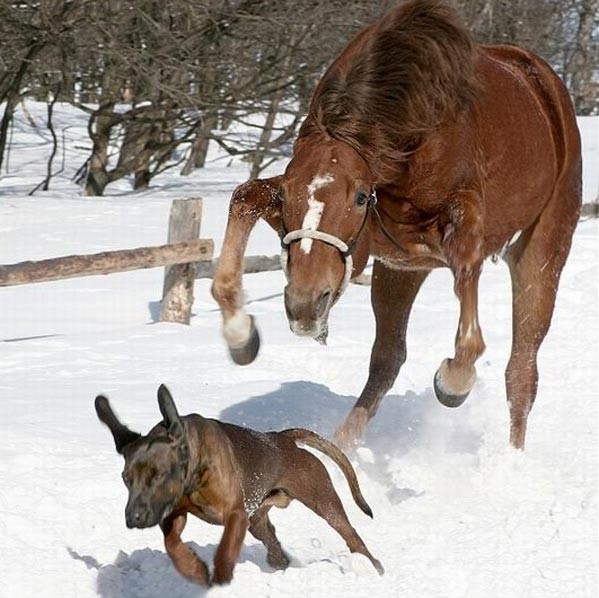 Photo de profil de nono0804