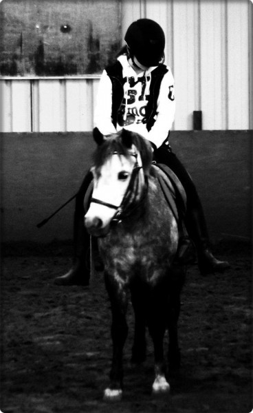Photo de profil de oceiw