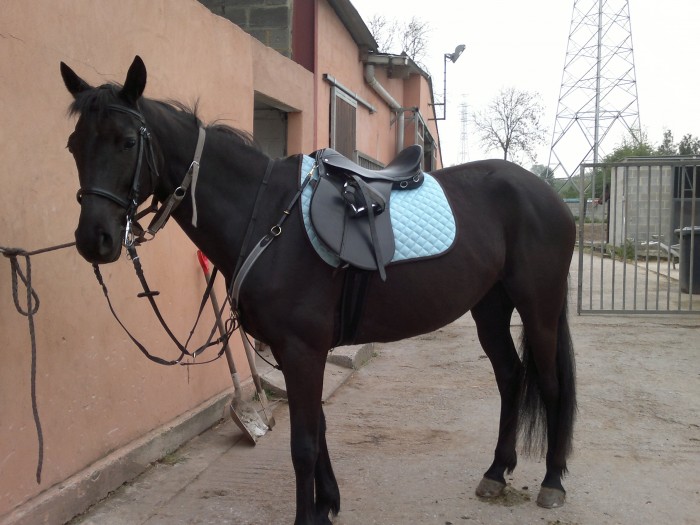 Photo de profil de jessydolce