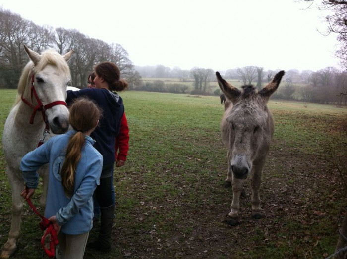 Photo de profil de ponyfriends
