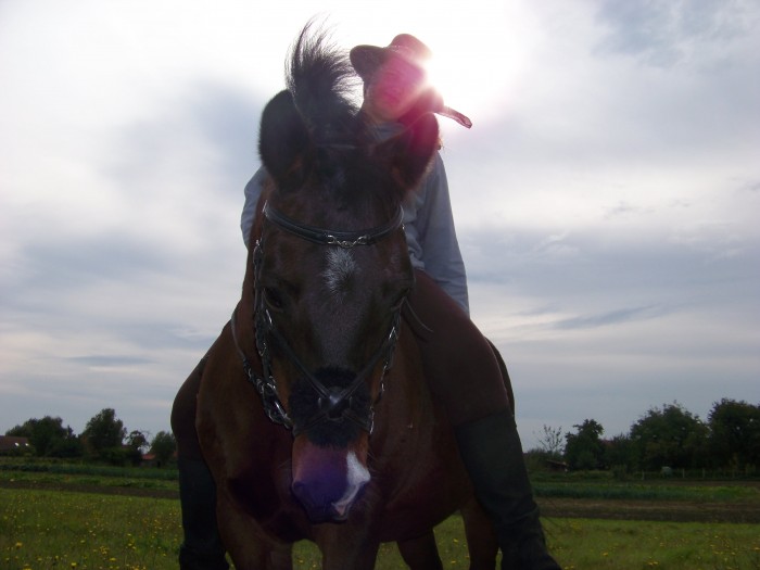 Photo de profil de lisedu59