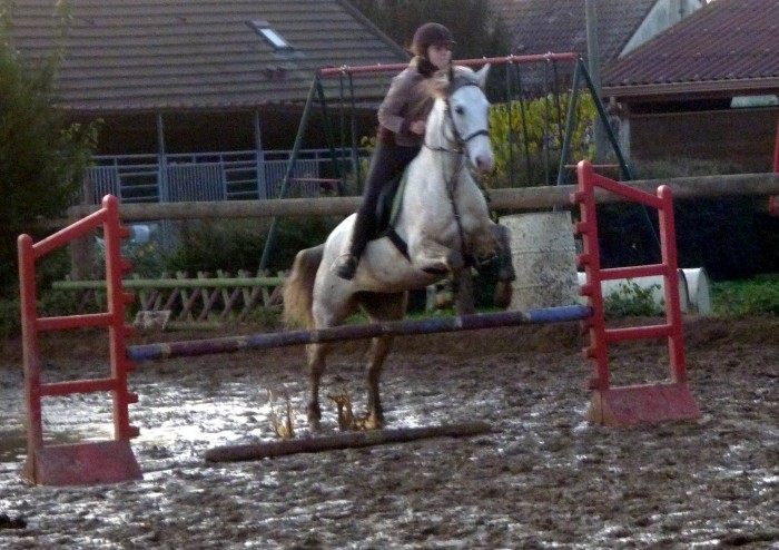 Photo de profil de qualis1