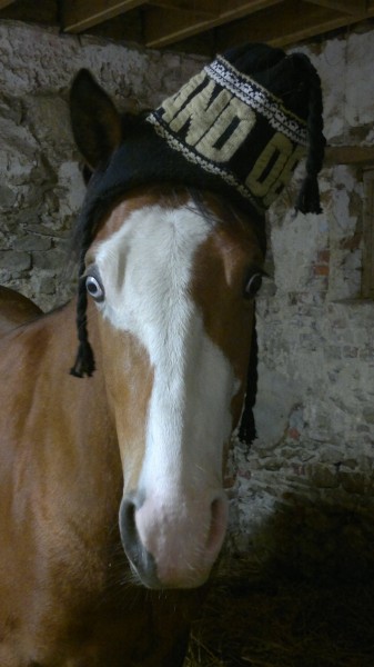 Photo de profil de sansan59