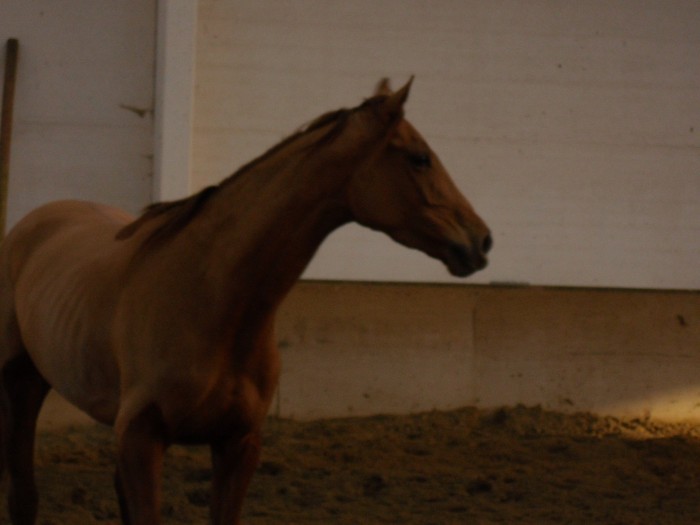 Photo de profil de zaziela