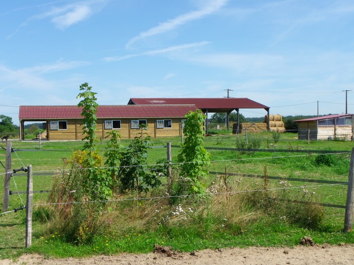 Photo de profil de npperformance