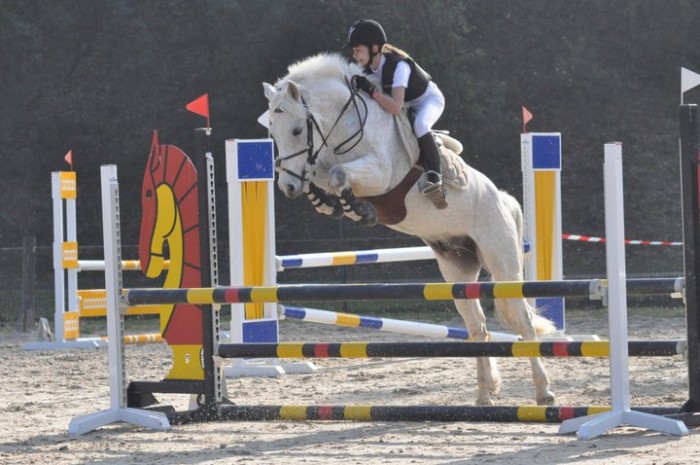 Photo de profil de andrea33