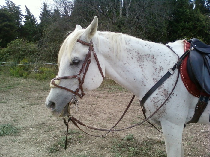 Photo de profil de lunana
