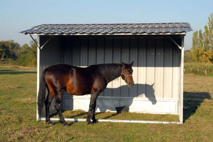 Photo de profil de jlverne