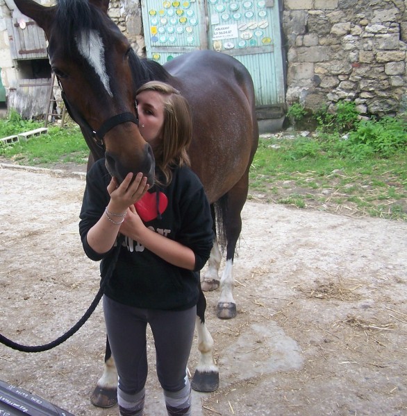 Photo de profil de cheval6o