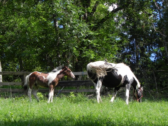 Photo de profil de lacroye