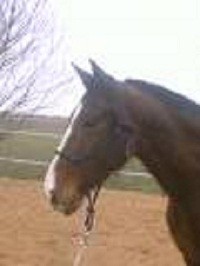Photo de profil de trexie