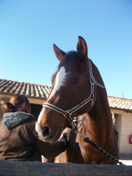 Photo de profil de insolu13