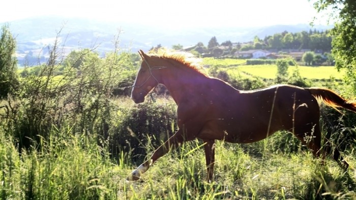 Photo de profil de elektra01