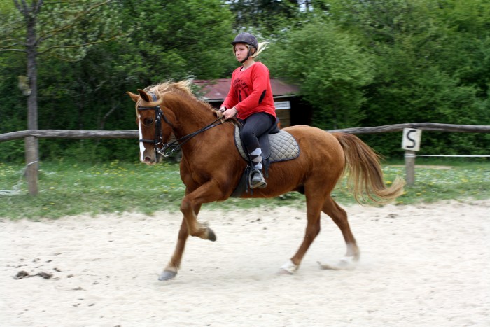 Photo de profil de zalzaros