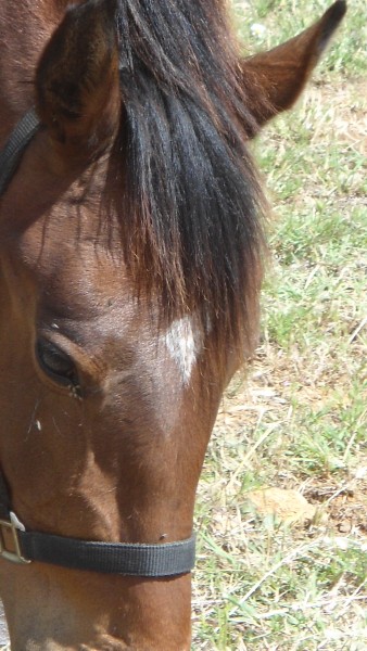 Photo de profil de nini11