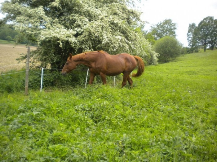 Photo de profil de poupee75