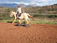 Coqueta34