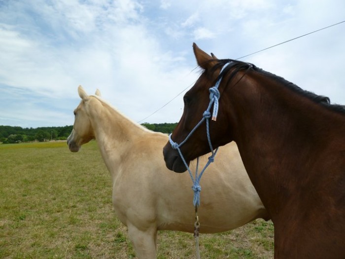 Photo de profil de didou47