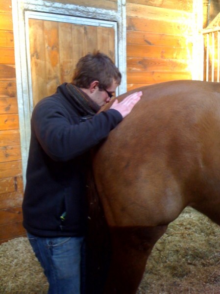 Photo de profil de poloshogy