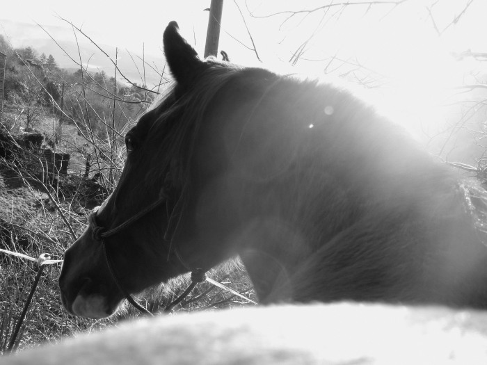 Photo de profil de emphea30