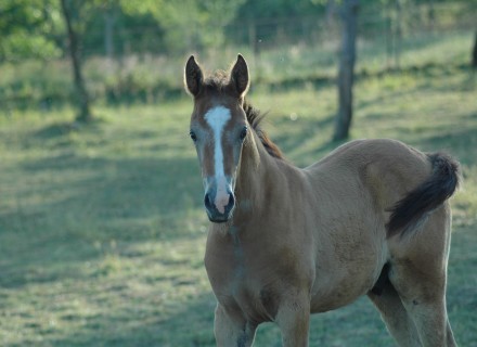 Photo de profil de wendyetouragan