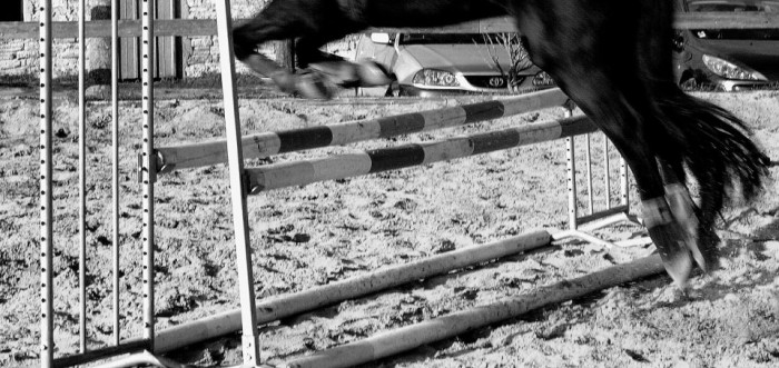 Photo de profil de melodyf23