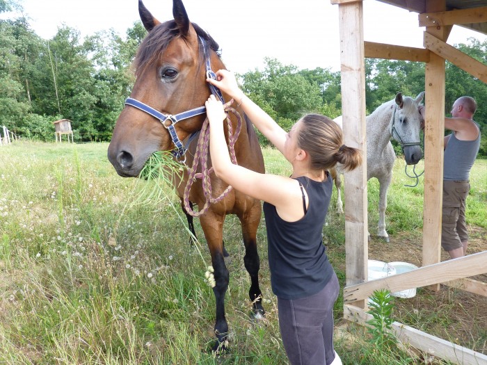 Photo de profil de meteorjiel