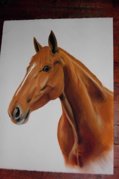 Photo de profil de renate