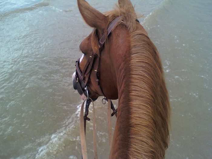 Photo de profil de laetitia18