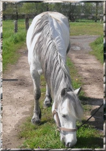 Photo de profil de mado59