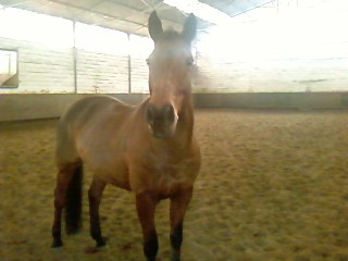 Photo de profil de mj95