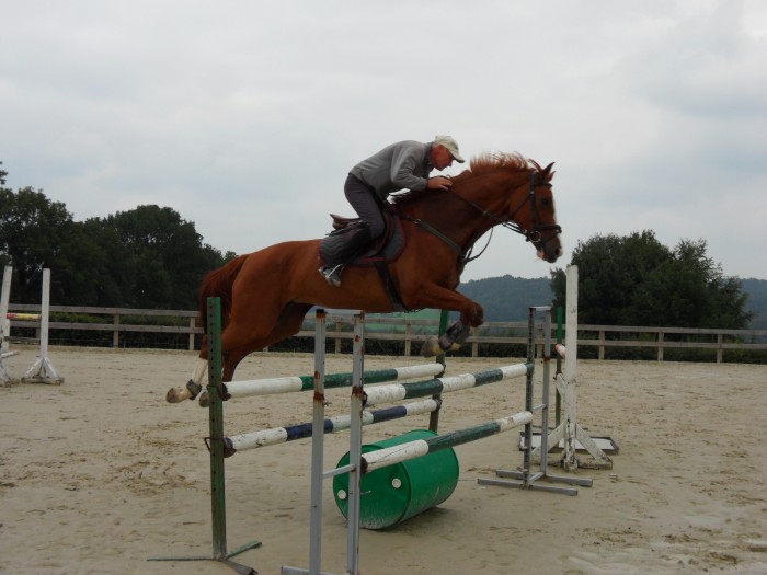 Photo de profil de sowlet