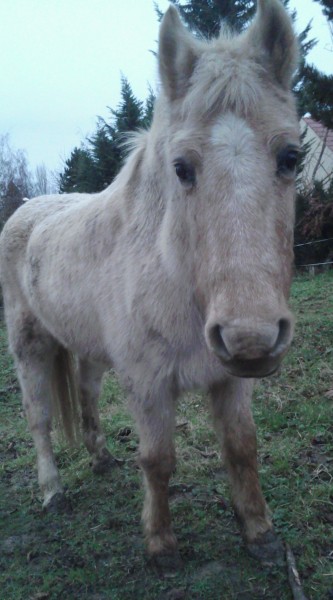 Photo de profil de grichoux3